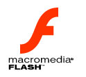 Flash makes your site heavy - Why and Where to use it?