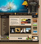 Good website design example 