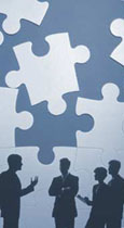 Search Engine Optimization Software
