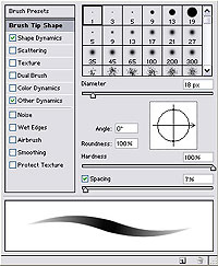 Brush Tip Shape