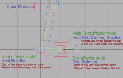 Foot Diagram