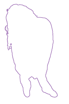 Creating Vector Silhouettes & Outlines Tutorial: Final Result