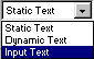 input text