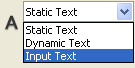 input text