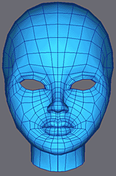 image 21
