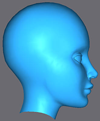 Modeling of the Head Tutorial: Final Result