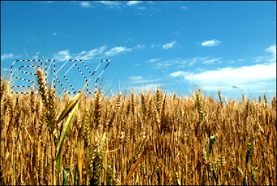 image02