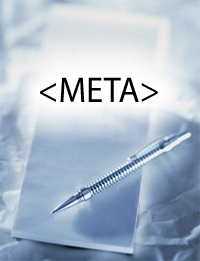 Website Search Engine Optimization set meta