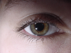 eye