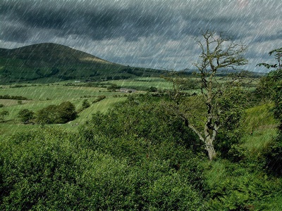 Rain Fall Tutorial: Final Result (Click to enlarge)