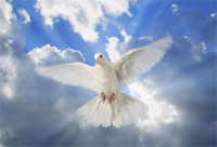 Marketing Miracles - Do They Just Happen?