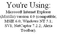 Browser information