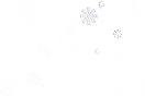 Snow Flakes