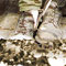 Click to read this material
