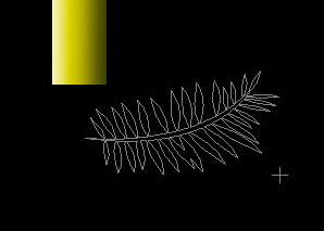 Draw Shape