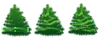 tree branches