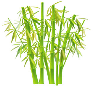 Draw Chinese Bamboo With Adobe Illustrator Symbol Sprayer Tool Tutorial: Final Result