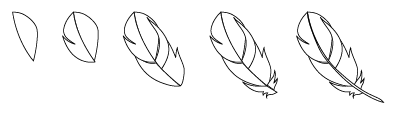 create paths