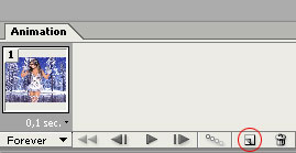 Duplicate