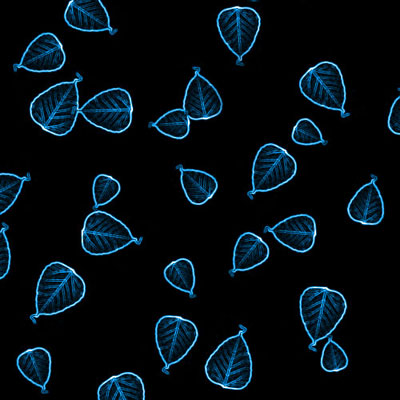 Transparent Leaves Tutorial: Final Result