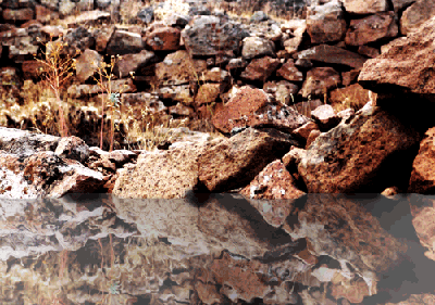 Adding Water to a Picture Tutorial: Final Result (Click to enlarge)