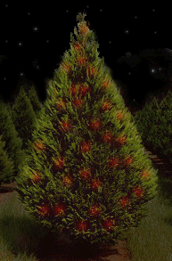 Light Up Your Trees Tutorial: Final result