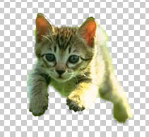 Extract-Kitten