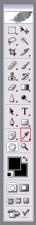 step4.jpg