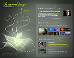 Website template example