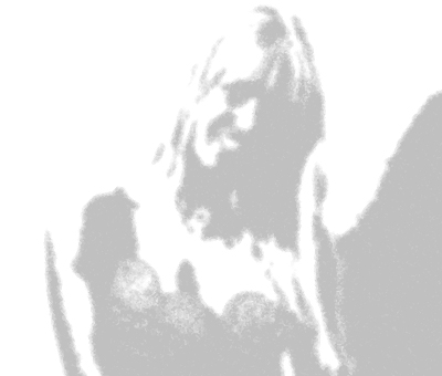 image 28
