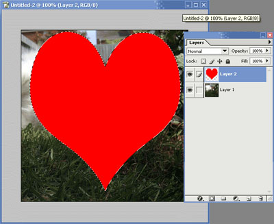  click on the heart shaped layer, this will get the outline of the heart.