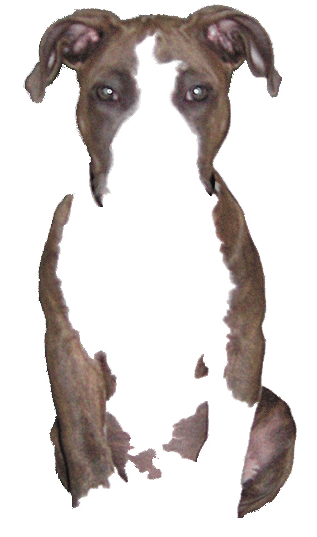 Tutorial: Final Result