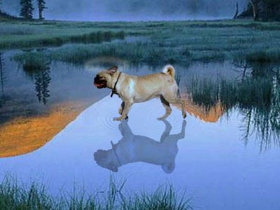 Saint Dog Tutorial: Final Result (Click to enlarge)