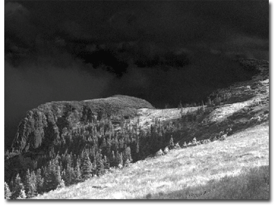 Creating an Infrared Effect Tutorial: Final Result