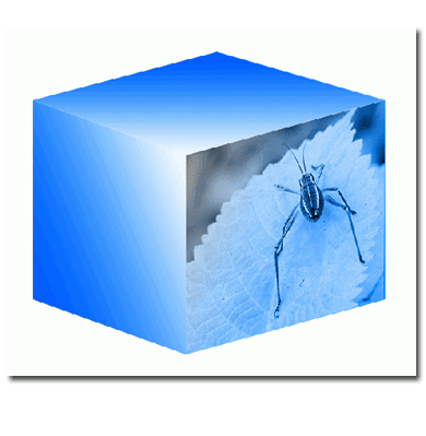 Creating a 3D Cube Tutorial: Final Result