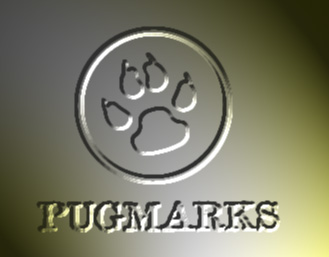 Logo Embossed in a Metal Sheet Tutorial: Final Result