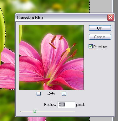 flower backgrounds for photoshop. The ackground is defocused