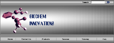 Creating a Navigational Header for a Website Tutorial: Final Result