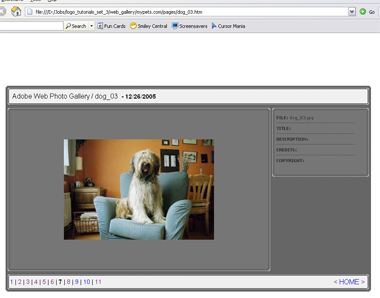 Creating Web Photo Gallery with Photoshop Tutorial: Final Result
