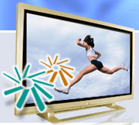 Get your Flash Videos on TV