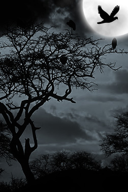 Converting a Day Scene Into Night Tutorial: Final Result