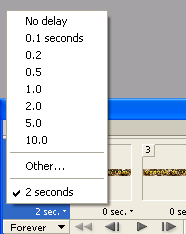 Animation Delay