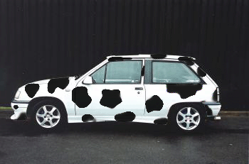 Car Cow