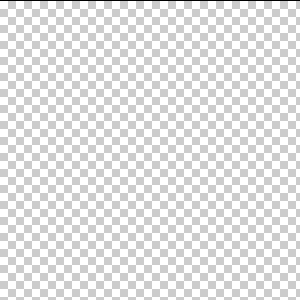 300x300 Canvas