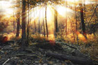 Ray of Light Tutorial: Final Result