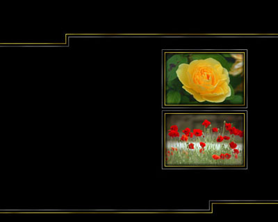 image 23