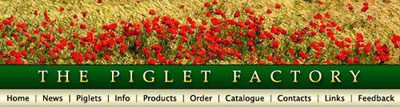 "The Piglet Factory" Website Tutorial: Final Result (Click to enlarge0