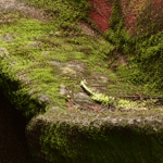 image 14
