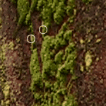 image 28