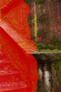 image 35
